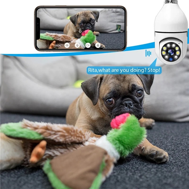 E27 Bulb Security Camera